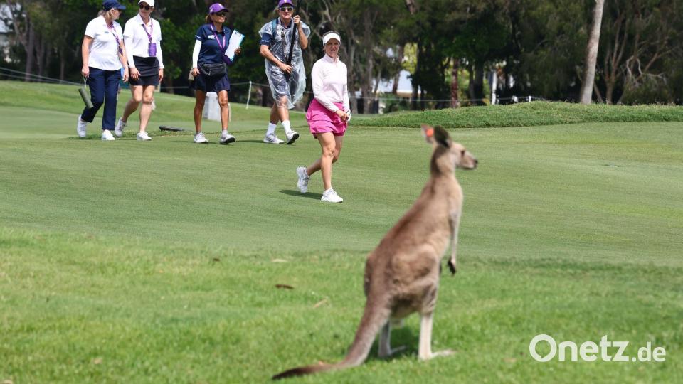 Gold Coast (Australien): Ungewohnter Zuschauer – die Finnin Noora  Komulainen trifft in der WPGA-Finalrunde auf ein Känguru. Bild: Jason O'Brien/AAP/dpa