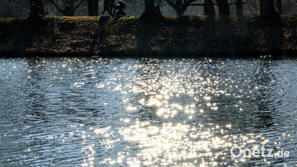 Wasser ist lebenswichtig für Menschen, Tiere und Kleinstorganismen. (Archivbild) Bild: Hendrik Schmidt/dpa