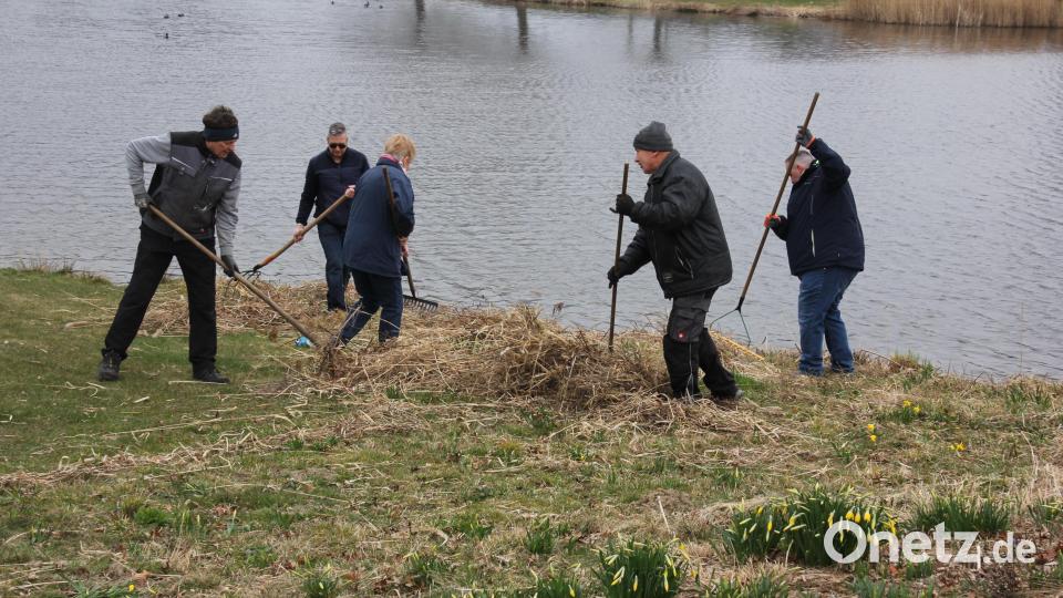 Viele Freiwillige haben haben am Samstagnachmittag im Fischhofpark fleißig gearbeitet. Bild: Konrad Rosner