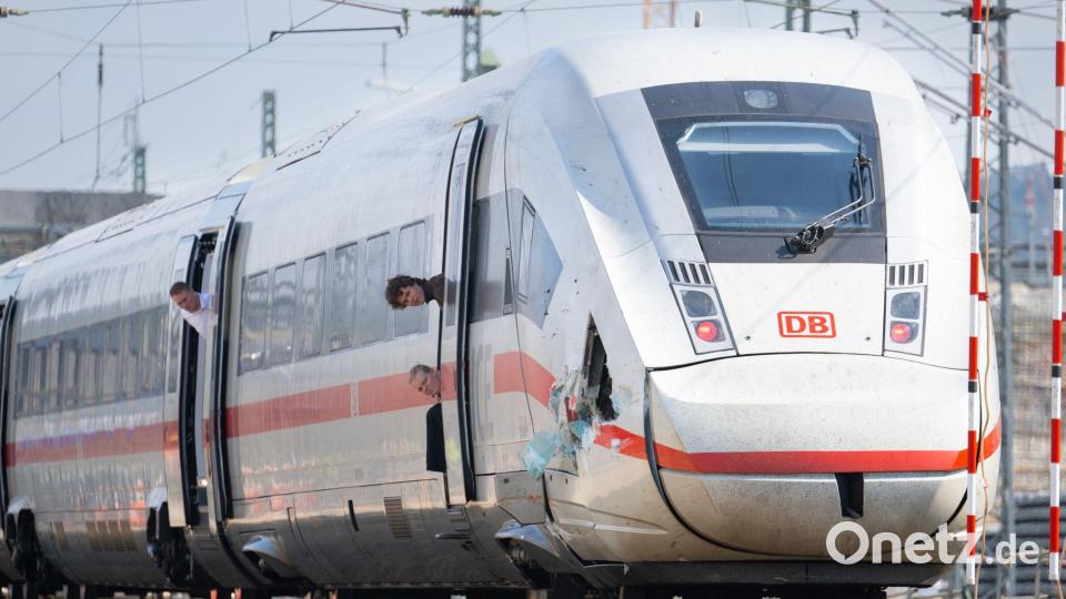 Schreck auf der ICE-Strecke Fulda-Hanau. Bild: Boris Roessler/dpa