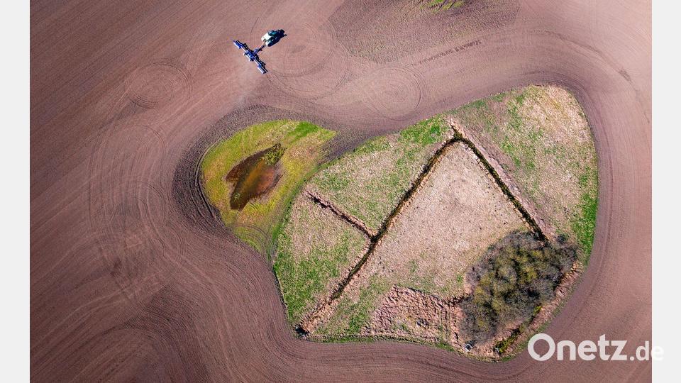 Im Märzen der Bauer... Bild: Jens Büttner/dpa