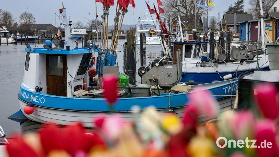 Fischerboote liegen im Hafen von Niendorf an der Ostsee. Bild: Ulrich Perrey/dpa