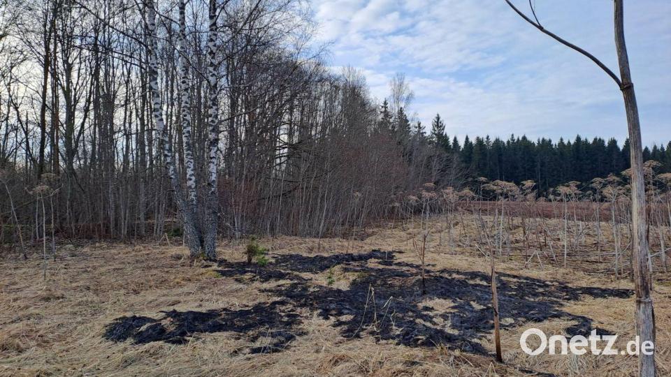 Der ukrainische Abwehrkampf gegen Russland zieht die baltischen Staaten in Mitleidenschaft. Bild: -/National Armed Forces of Latvia/dpa