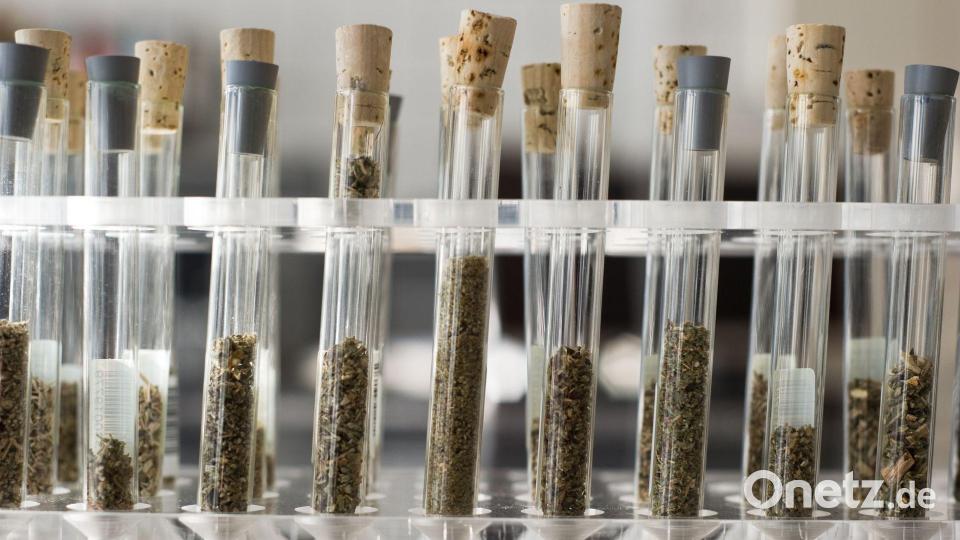 Es gibt endlos viele verschiedene Designerdrogen - die Hersteller reagieren sofort auf jede Gesetzesänderung. (Symbolbild) Bild: Christoph Schmidt/dpa