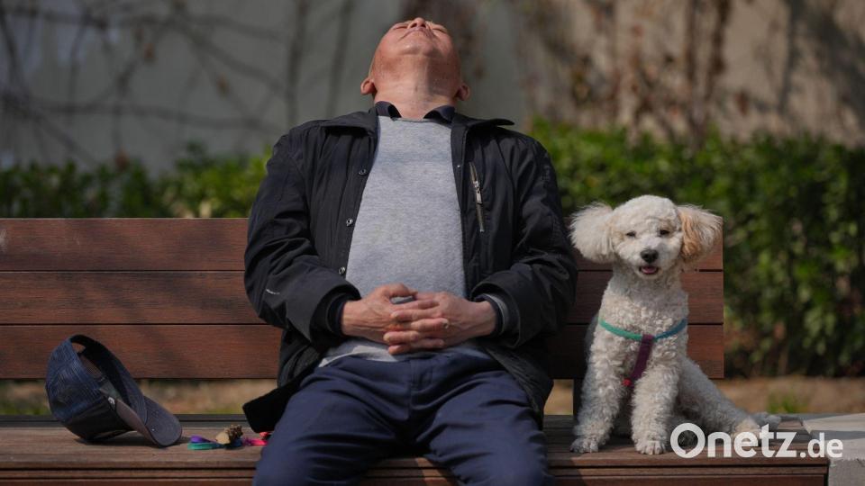 Ein Mann macht ein Nickerchen neben seinem Hund auf einer Bank in Peking. Bild: Andy Wong/AP/dpa