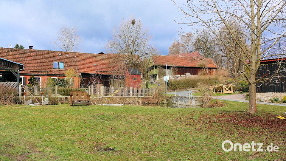 Der Dorfplatz vor dem Dorfweiher in Schönfuß erhält eine kleine Pflasterfläche mit einer Sitzgelegenheit. Unentgeltlich wird diese Maßnahme von Thomas Schraml ausgeführt, was dem Friedenfelser in der letzten Gemeinderatssitzung viel Anerkennung brachte. Bild: bsc