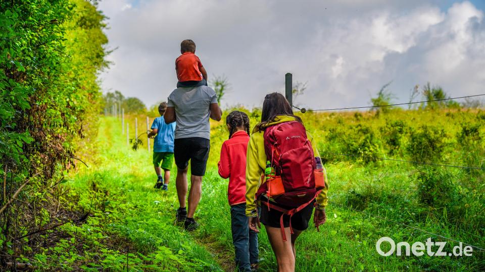 Auf der Ochsentour gibt es aber auch sonst noch einiges zu entdecken. Bild: Regina Wolfohr