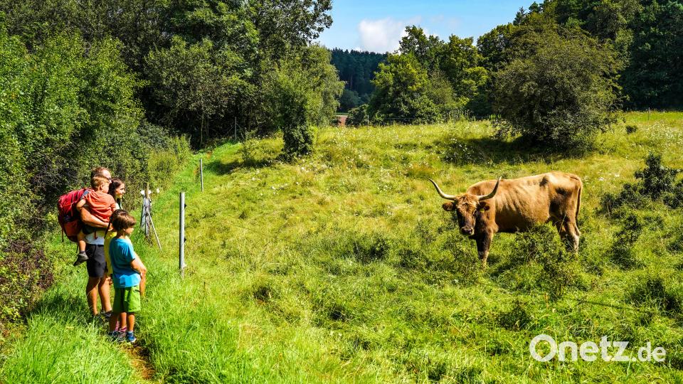 Eins ist sicher: Langweilig wird es auf dieser Wanderung nicht. Bild: Regina Wolfohr