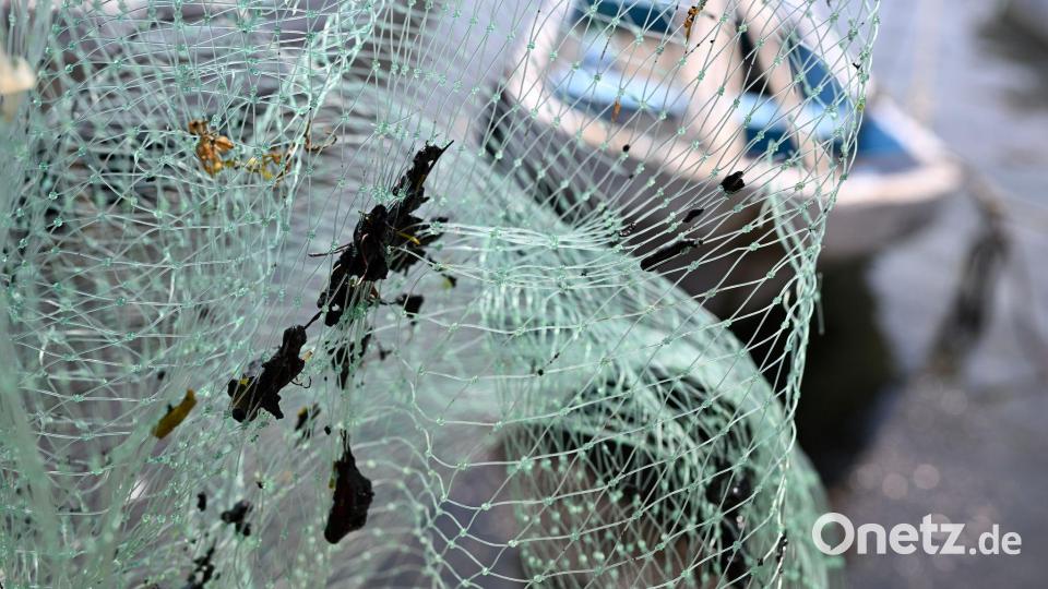 Erdölrückstände haben die Ausrüstung der Fischer verschmutzt, darunter Netze. Bild: Yahir Ceballos/dpa