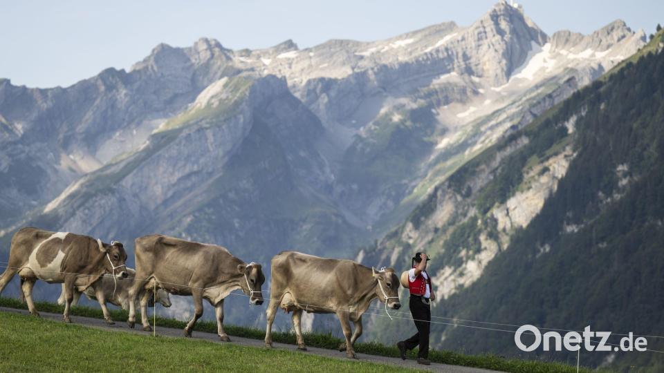 Die Schweiz pflegt ihr Heidiland-Image. (Archivbild) Bild: Gian Ehrenzeller/KEYSTONE/dpa