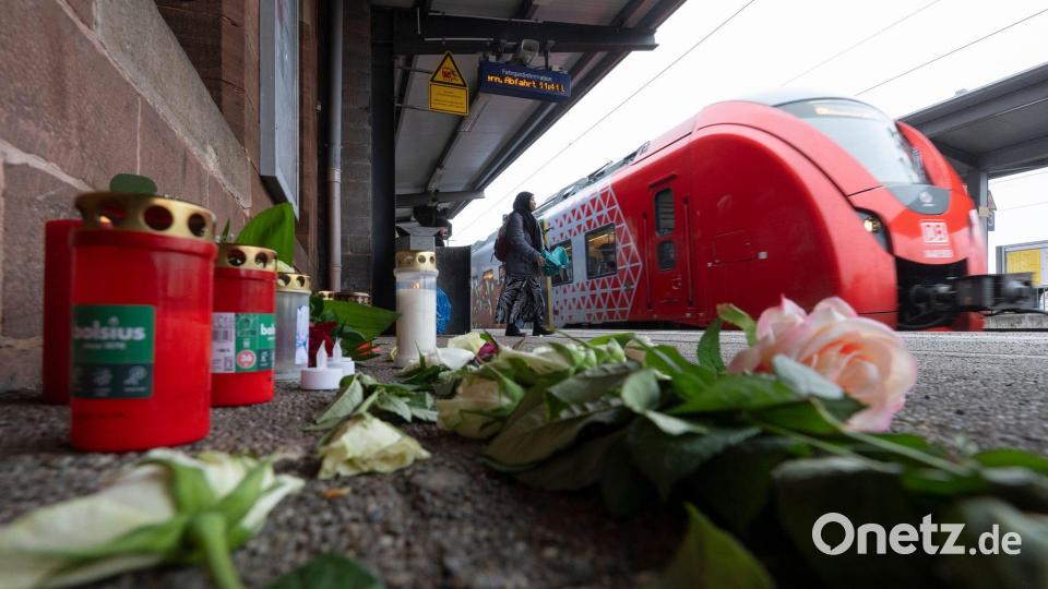 Anfang Februar war ein 36 Jahre alter Zugbegleiter bei einer Ticketkontrolle angegriffen und tödlich verletzt worden. (Archivbild) Bild: Boris Roessler/dpa