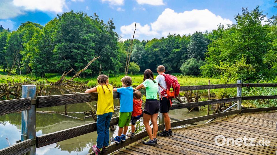 Wenn du Glück hast, kannst du sogar eine Biberfamilie beobachten. Bild: Regina Wolfohr