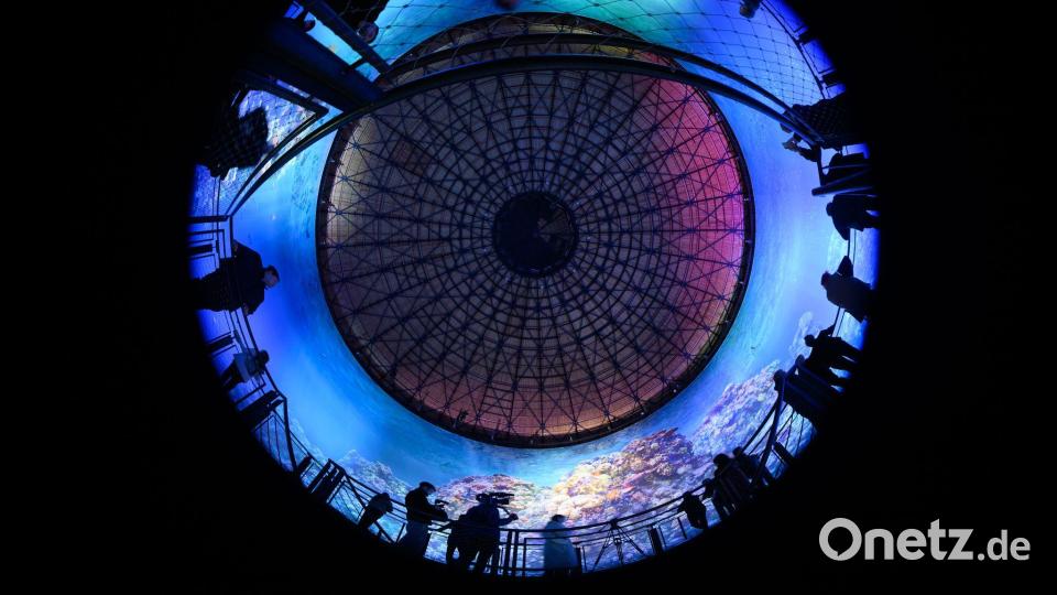 Teilnehmer des Presserundgangs betrachten das Panorama „Great Barrier Reef“ von Yadegar Asisi im im Panometer Dresden, einem ehemaligen Gasometer. Bild: Robert Michael/dpa