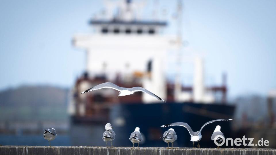 Das Wetter zum Wochenende wird wechselhaft. Bild: Philip Dulian/dpa