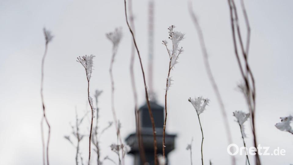 Das Wetter zum Wochenende wird wechselhaft. Bild: Andreas Arnold/dpa