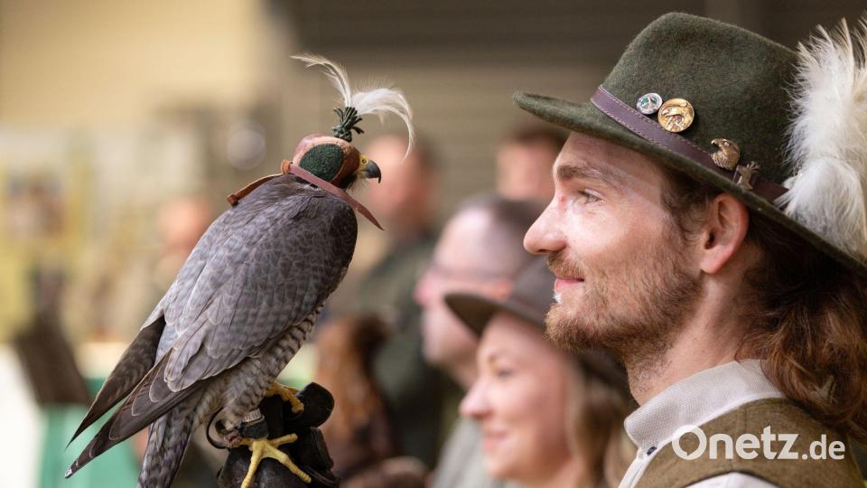 Greifvogel zum Messebeginn: Wanderfalke zieht bei Eröffnung in der Messe Erfurt die Blicke auf sich Bild: Michael Reichel/dpa