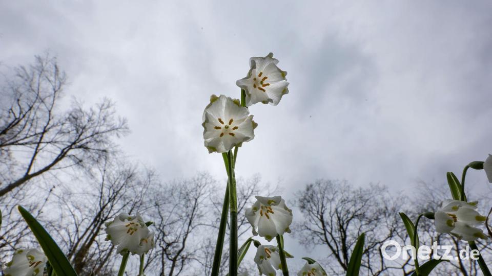Das Wetter in Deutschland zeigt sich in den kommenden Tagen von seiner ungemütlichen Seite. (Symbolbild) Bild: Thomas Warnack/dpa