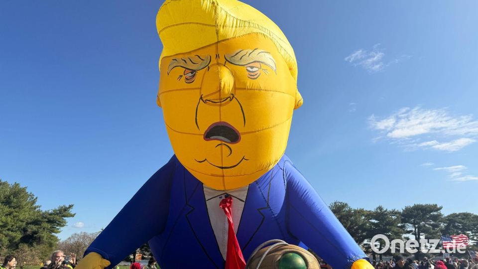 Protest gegen Trump. Bild: Anna Ringle/dpa