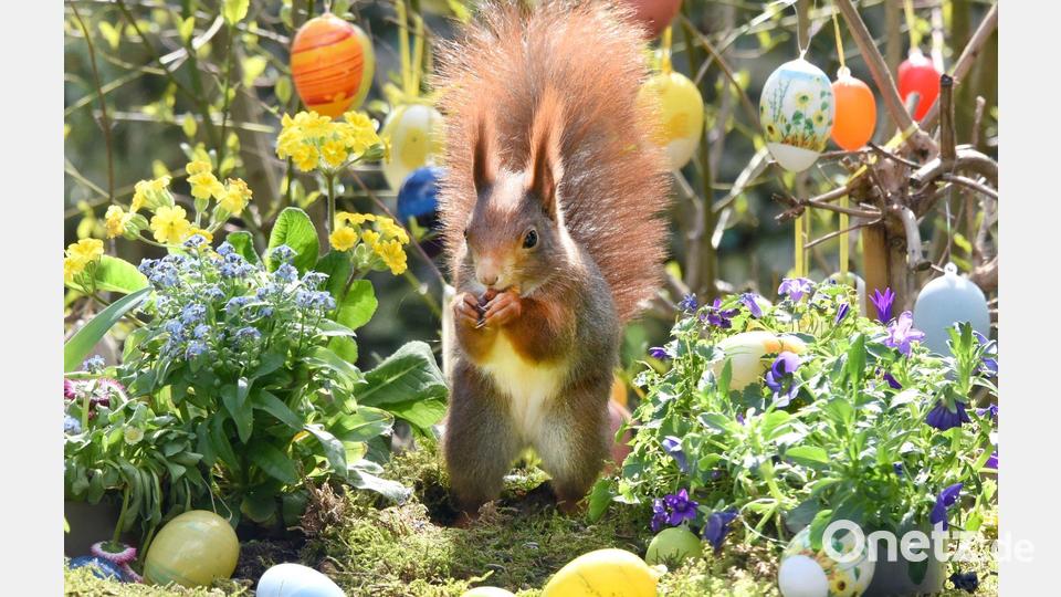Ostern steht vor der Tür. (Archivbild) Bild: Waltraud Grubitzsch/dpa