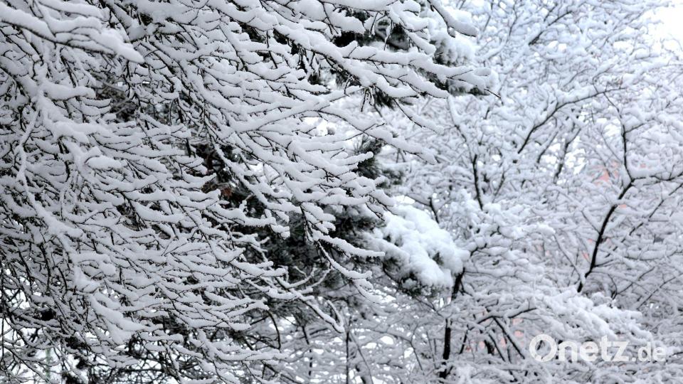 In höheren Lagen soll es noch einmal Neuschnee geben. (Archivbild) Bild: Karl-Josef Hildenbrand/dpa