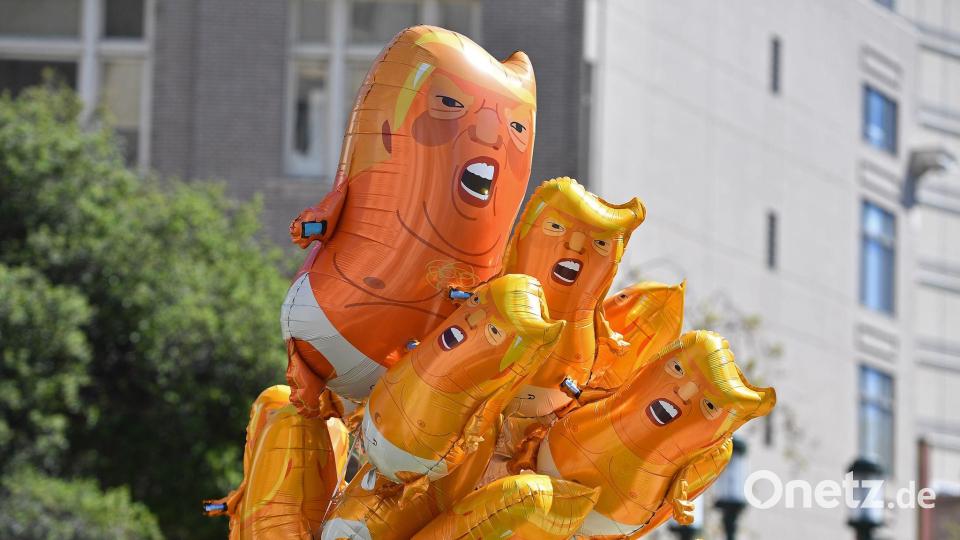 Luftballons mit dem Konterfei von US-Präsident Trump blicken hinter einem Busch hervor. Bild: JOSE CARLOS FAJARDO/Bay Area News Group/AP/dpa