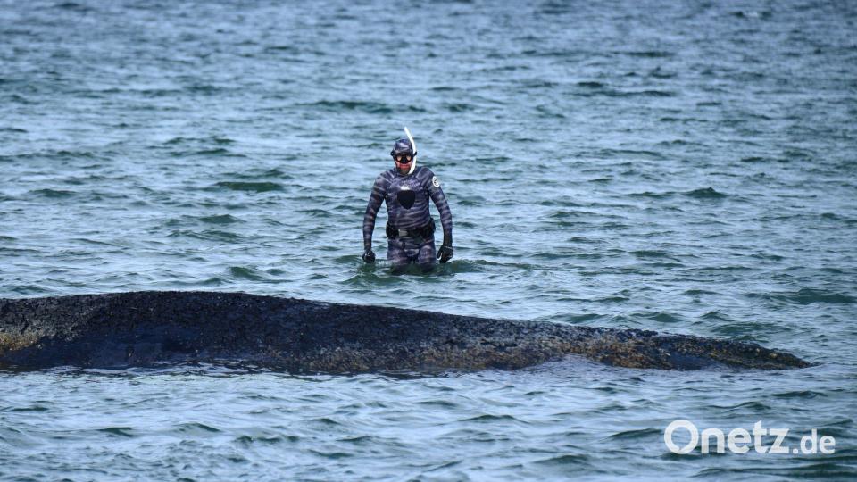 Bei der Rettungsaktion vor Timmendorfer Strand hat Lehmann unterstützt. (Archivbild) Bild: Daniel Bockwoldt/dpa