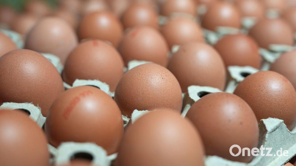 In manchen Lebensmittelläden sind sie gerade Mangelware: Eier. (Symbolbild) Bild: Marcus Brandt/dpa