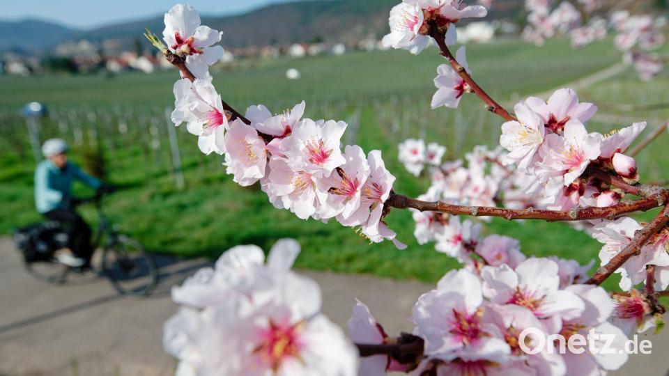 Im März lockte das Wetter bereits zu vielen Aktivitäten ins Freie. (Archivbild) Bild: Uwe Anspach/dpa