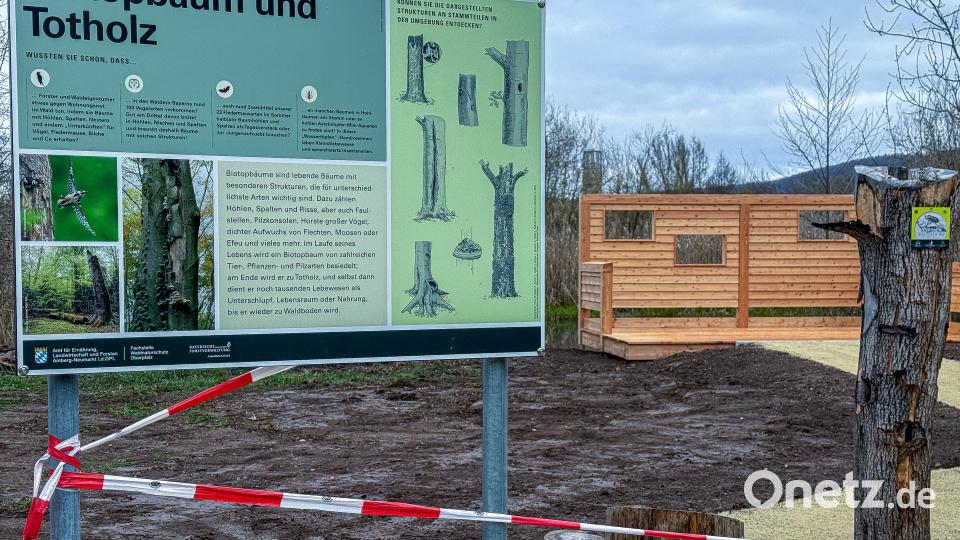 Infotafeln erläutern den Hintergrund des Totholzes, das dort aufgestellt wurde. Bild: Stephan Huber