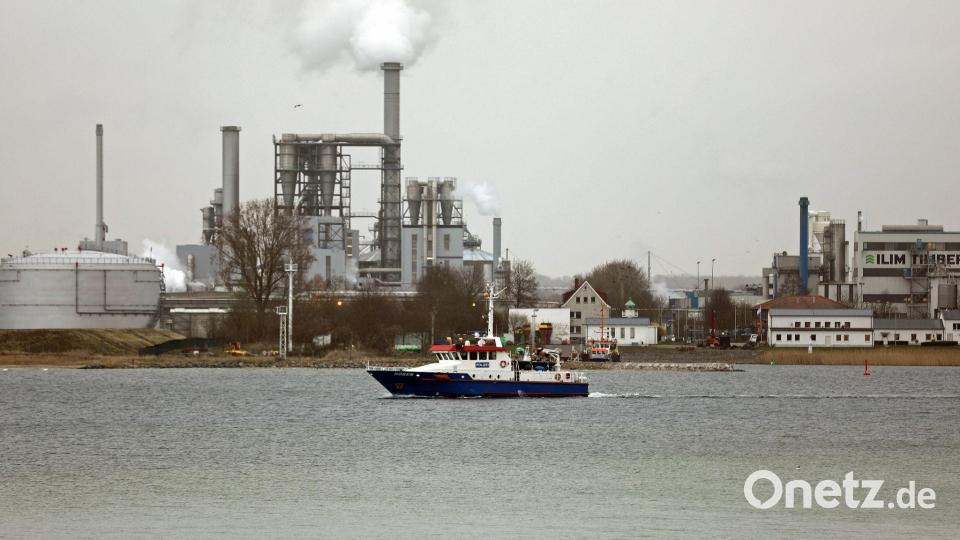 Buckelwal abgetaucht: In der Wismarer Bucht hält die Wasserschutzpolizei Ausschau Bild: Stefan Tretropp/dpa