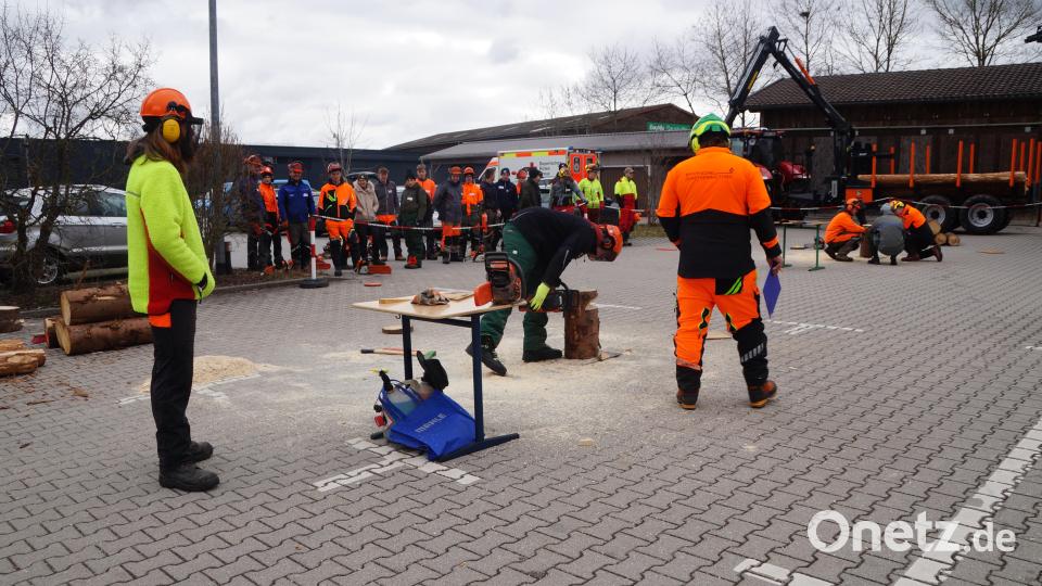 Der richtige Fällkerbschnitt mussten die Teilnehmer an einem Baumstock demonstrieren. Bild: wel