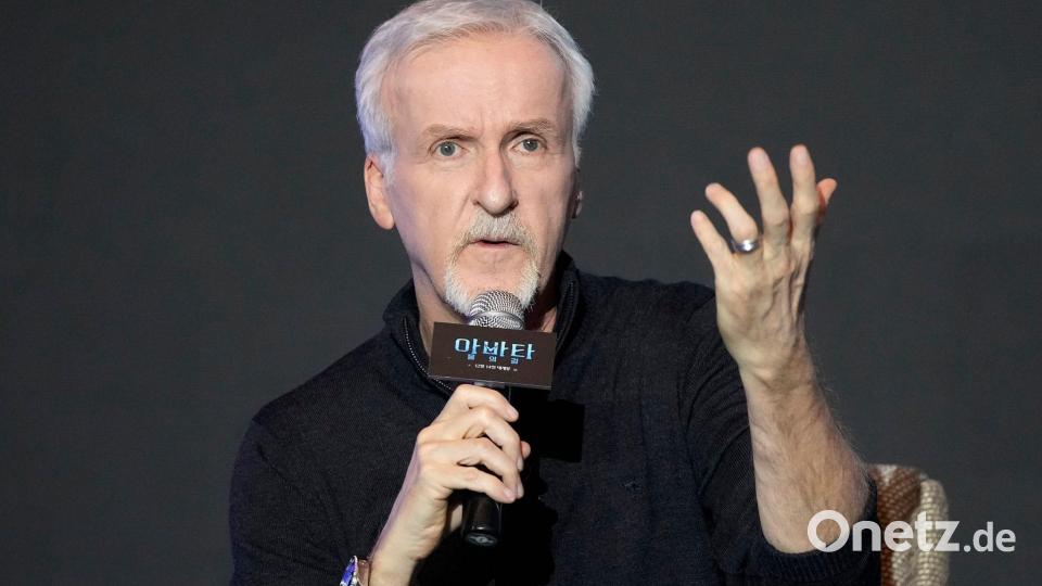 Macht mehr als „Avatar“-Filme: James Cameron steckt als ausführender Produzent hinter der Doku „Die geheimnisvolle Welt der Bienen“. (Archivbild) Bild: Ahn Young-Joon/AP/dpa