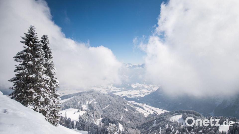 Ehrenamtliche Einsatzkräfte der Bergwacht Marktschellenberg retteten einen am Roßfeld-Skigebiet abgestürzten Hund - sie fanden ihn im Steilgelände. Archivbild: Lino Mirgeler/dpa