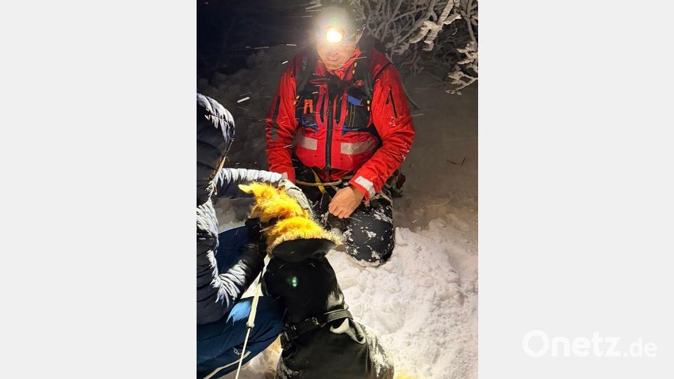 In einer dreistündigen Aktion wurde das Tier geborgen. (Handout) Bild: --/Bayerisches Rotes Kreuz/dpa