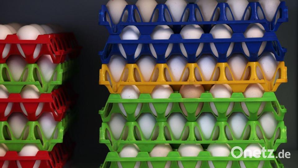 In Bayern gibt es eine große Nachfrage nach Bio-Eiern. (Symbolbild) Bild: Karl-Josef Hildenbrand/dpa