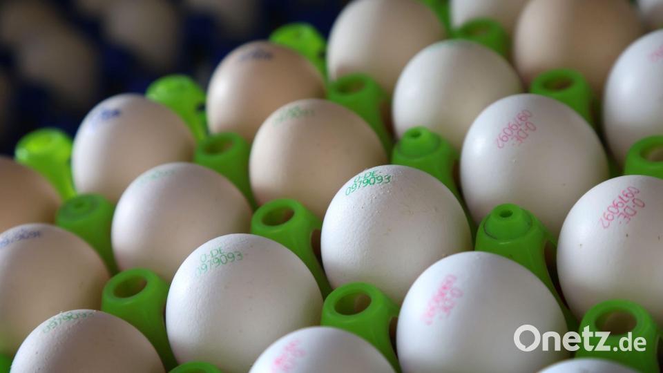 Bio-Eier sind besonders gefragt. (Symbolbild) Bild: Karl-Josef Hildenbrand/dpa