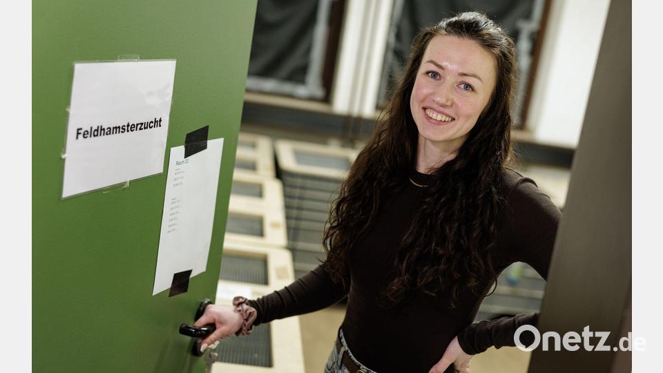 Projektleiterin Anika Hirz achtet bei den Verpaarungen von Feldhamstern auf die genetische Vielfalt. Bild: David Ebener/dpa