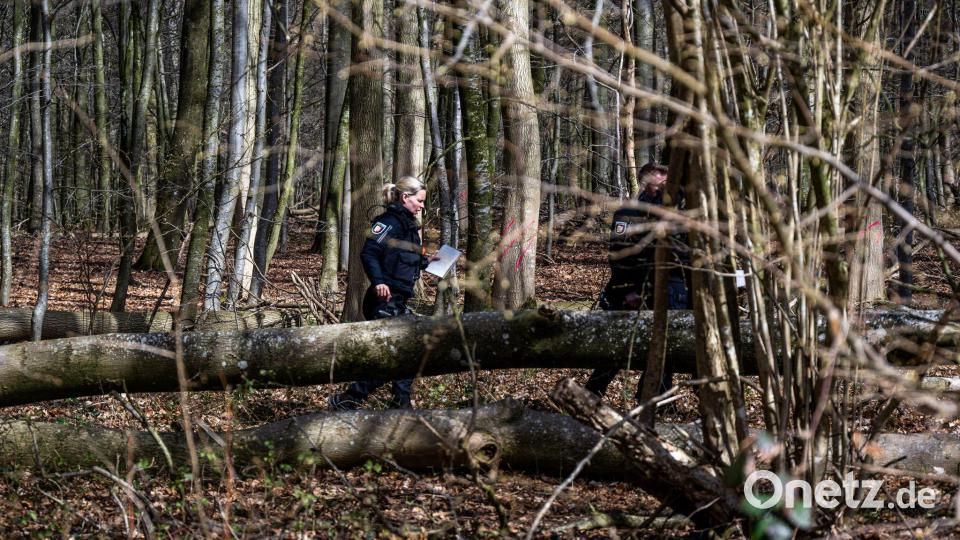 Einsatzkräfte untersuchen den Baum. Bild: Benjamin Nolte/dpa