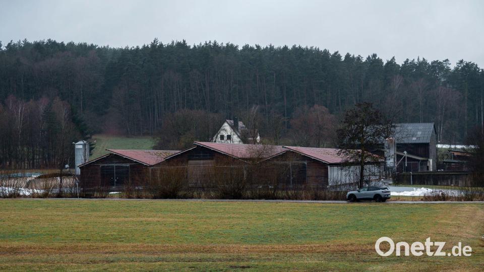 Der Hof in Bindlach wird schon seit vielen Jahren ökologisch bewirtschaftet. Bild: Daniel Vogl/dpa
