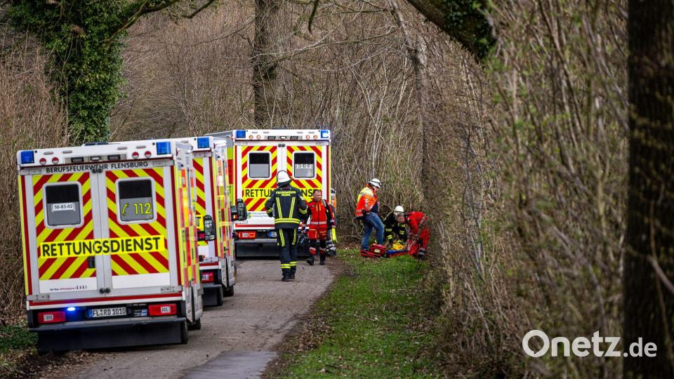 Drei Menschen sterben in einem Waldstück südöstlich von Flensburg. Bild: Benjamin Nolte/dpa