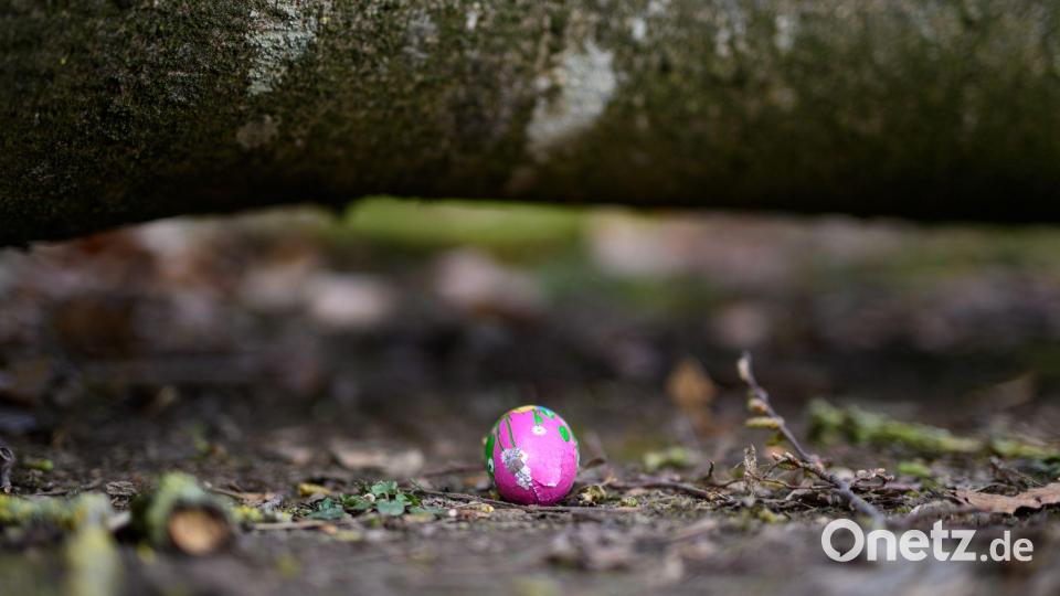 In einem Waldstück im Norden Schleswig-Holsteins ist ein Baum auf eine Gruppe gestürzt. Bild: Daniel Reinhardt/dpa