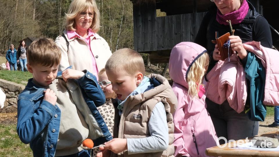Volle Konzentration beim Eiertransportieren: Der Ostermontag machte Klein und Groß im Freilandmuseum Neusath Freude. Bild: Hirsch