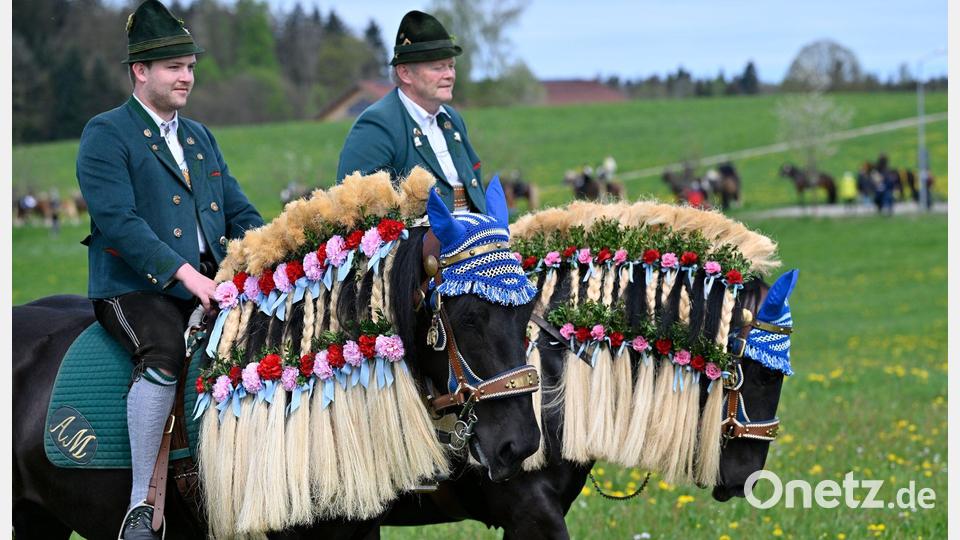 Die Pferde sind beim Georgiritt festlich geschmückt. (Archivbild) Bild: Uwe Lein/dpa