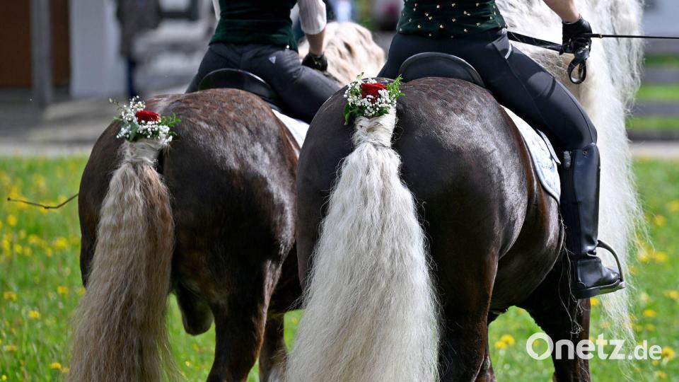 Auch hinten herausgeputzt - die Pferde beim Georgiritt. (Archivbild) Bild: Uwe Lein/dpa