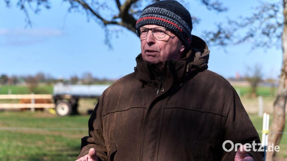 Mecklenburg-Vorpommerns Umweltminister Till Backhaus (SPD) lässt prüfen, ob der gestrandete Wal eventuell mit einem Katamaran in tieferes Gewässer gebracht werden könnte. Bild: Marcus Golejewski/dpa