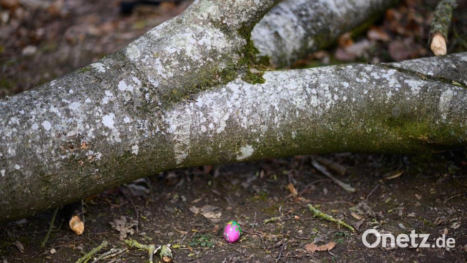 Bei einem Unglück am Ostersonntag sterben im nördlichen Schleswig-Holstein drei Menschen. Bild: Daniel Reinhardt/dpa