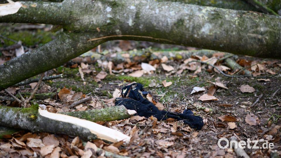 Blick auf den Unfallort. Bild: Daniel Reinhardt/dpa