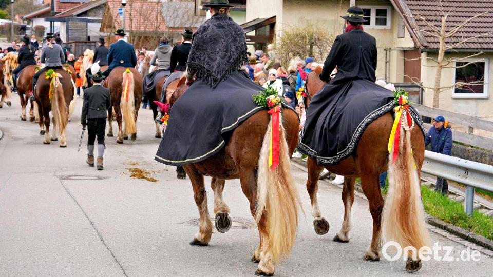 Auch hinten herausgeputzt - die Pferde beim Georgiritt. Bild: Uwe Lein/dpa