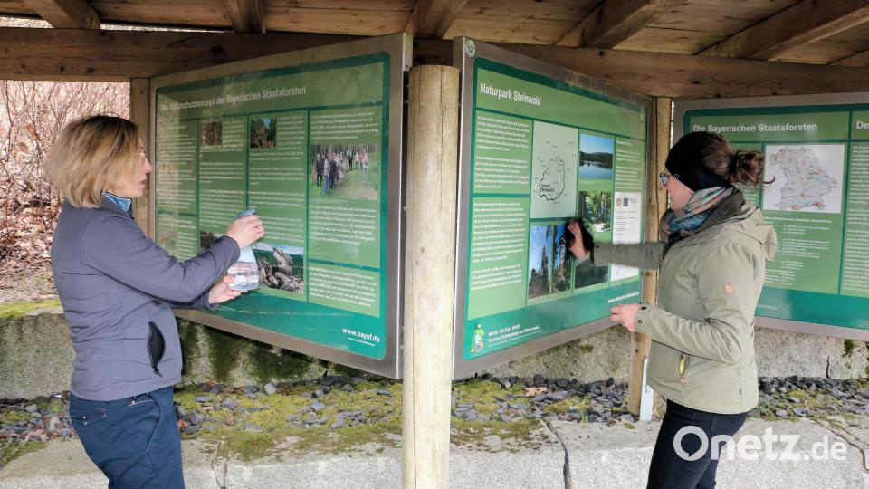 Übersichtstafeln bieten nach der Reinigung wieder einen klaren Durchblick. Bild: bsc