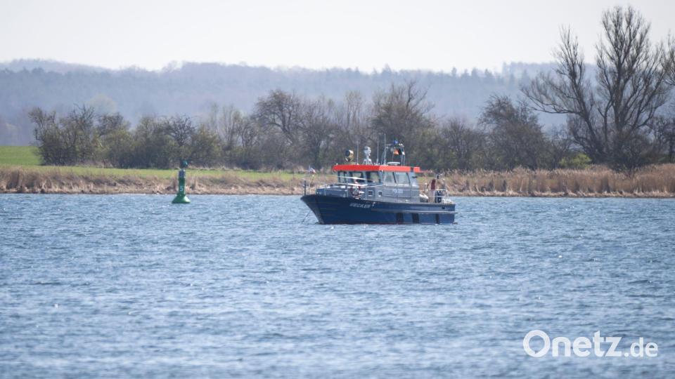 Es ist laut Experten nicht möglich, den Wal zu töten. Bild: Philip Dulian/dpa